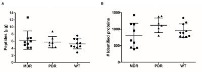 A Shaving Proteomic Approach to Unveil Surface Proteins Modulation of Multi-Drug Resistant Pseudomonas aeruginosa Strains Isolated From Cystic Fibrosis Patients